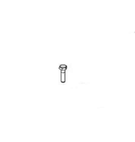 Graco 100021 Cap Screw
